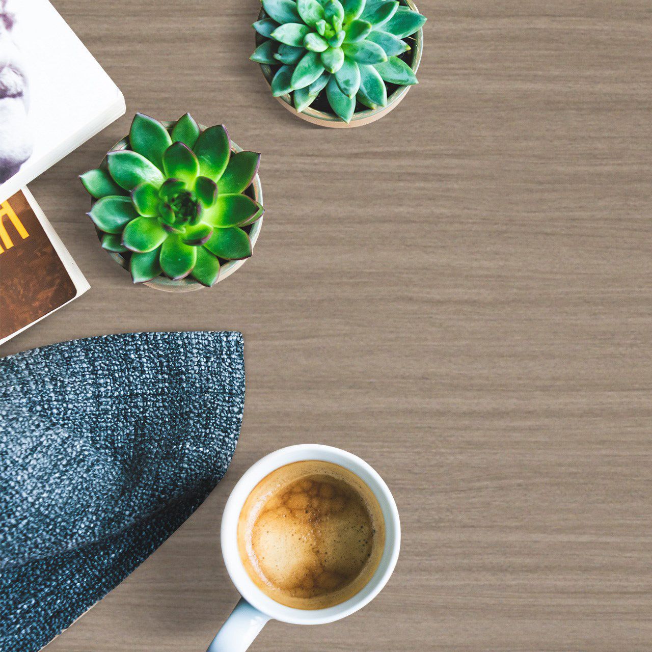 3094 Renewal Oak (BRS) Laminates in India