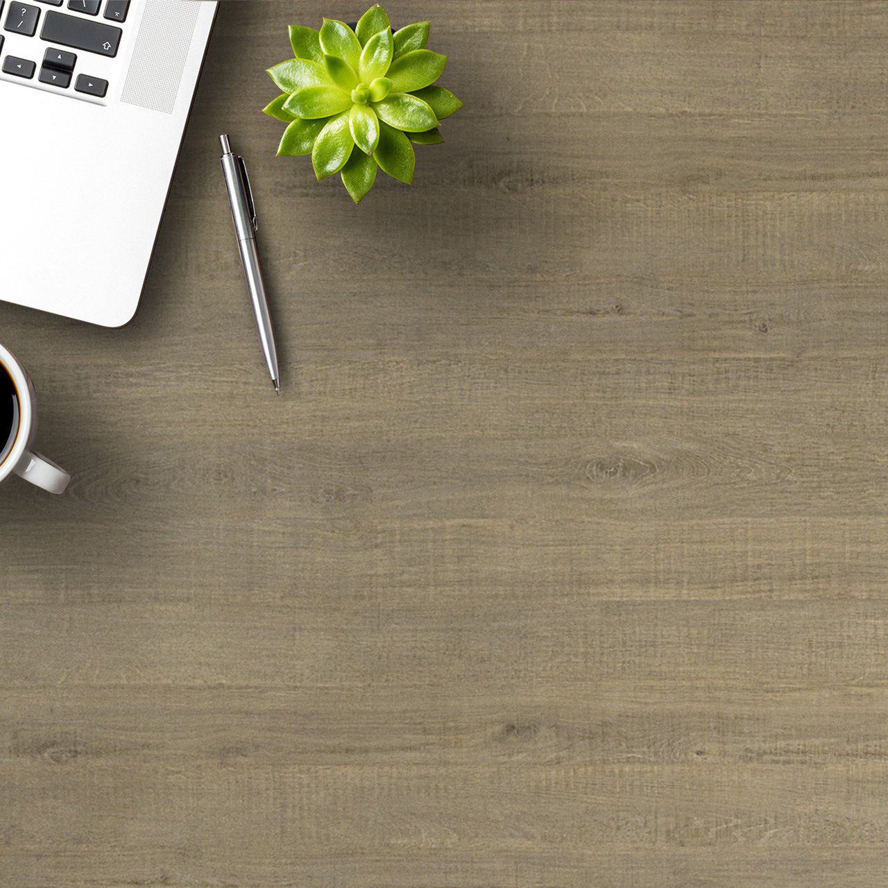 3245 Oak Solace (SUD) Laminates in India