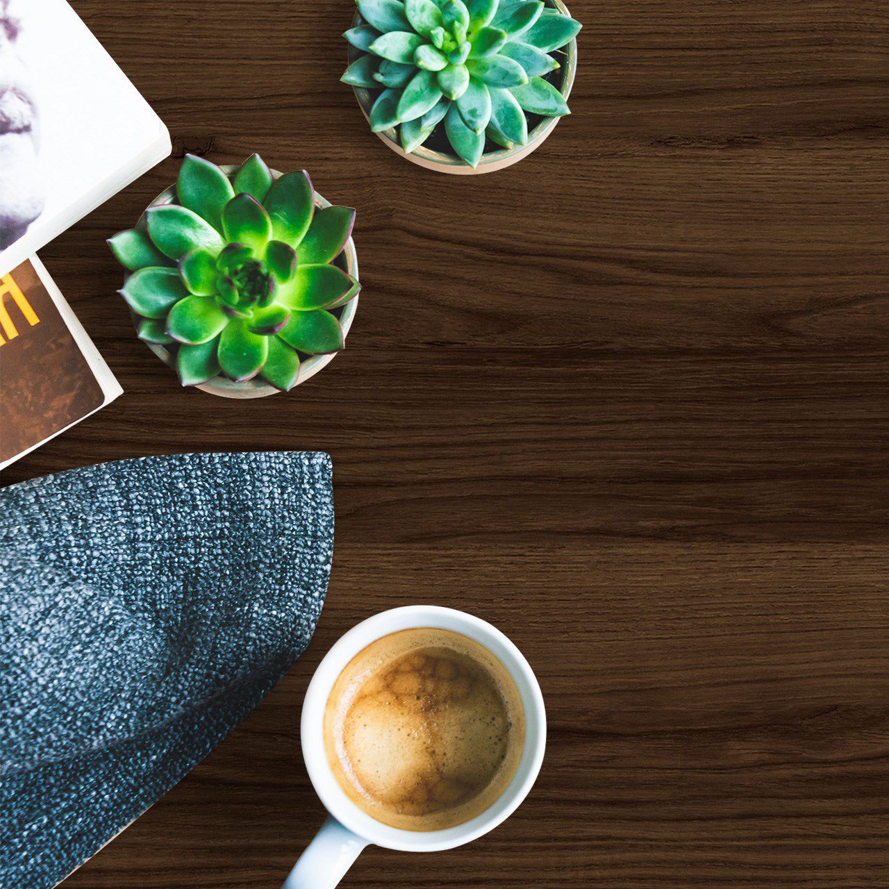 3255 Catania Oak (CFD) Laminates in India