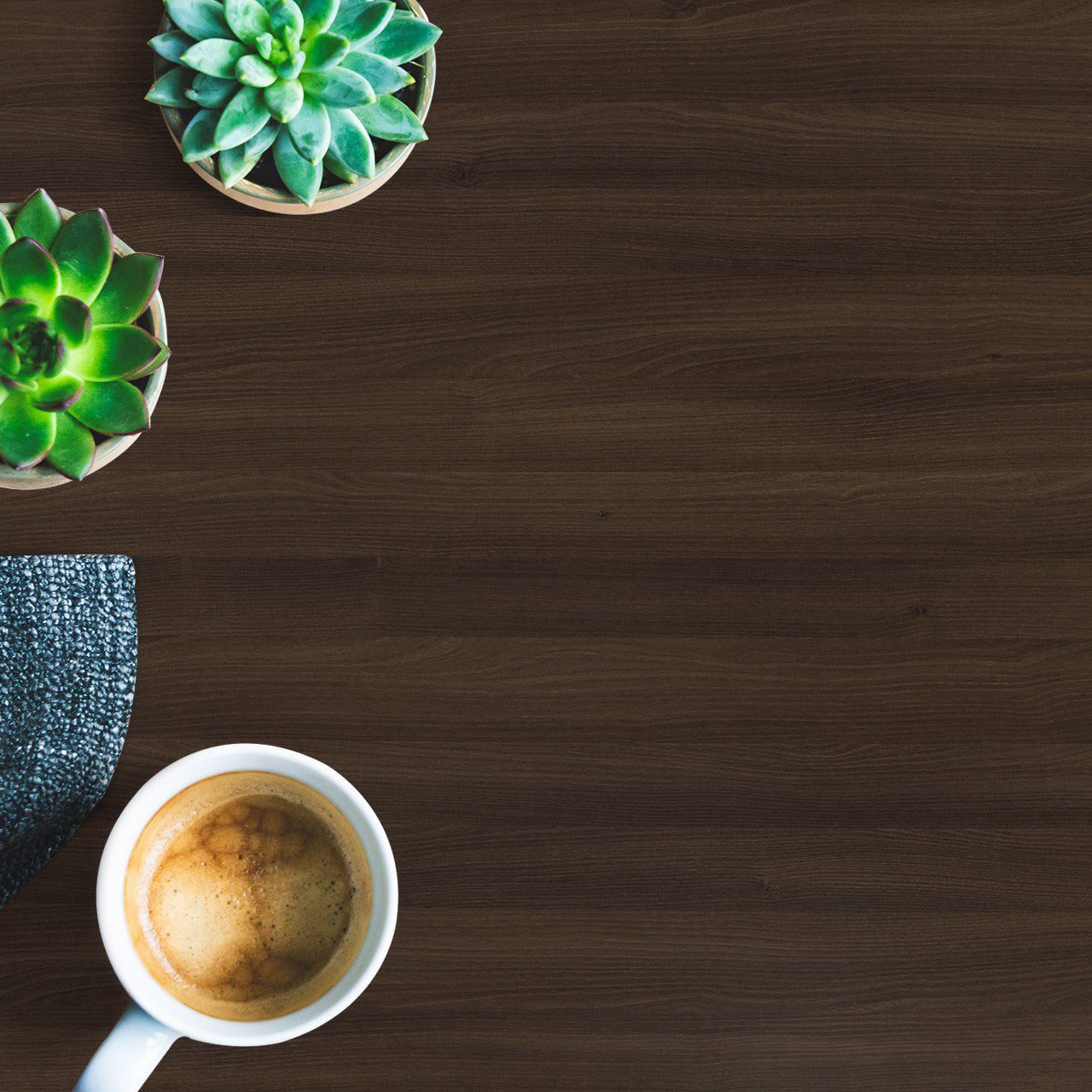 3290 Winter Walnut (SUD) Laminates in India