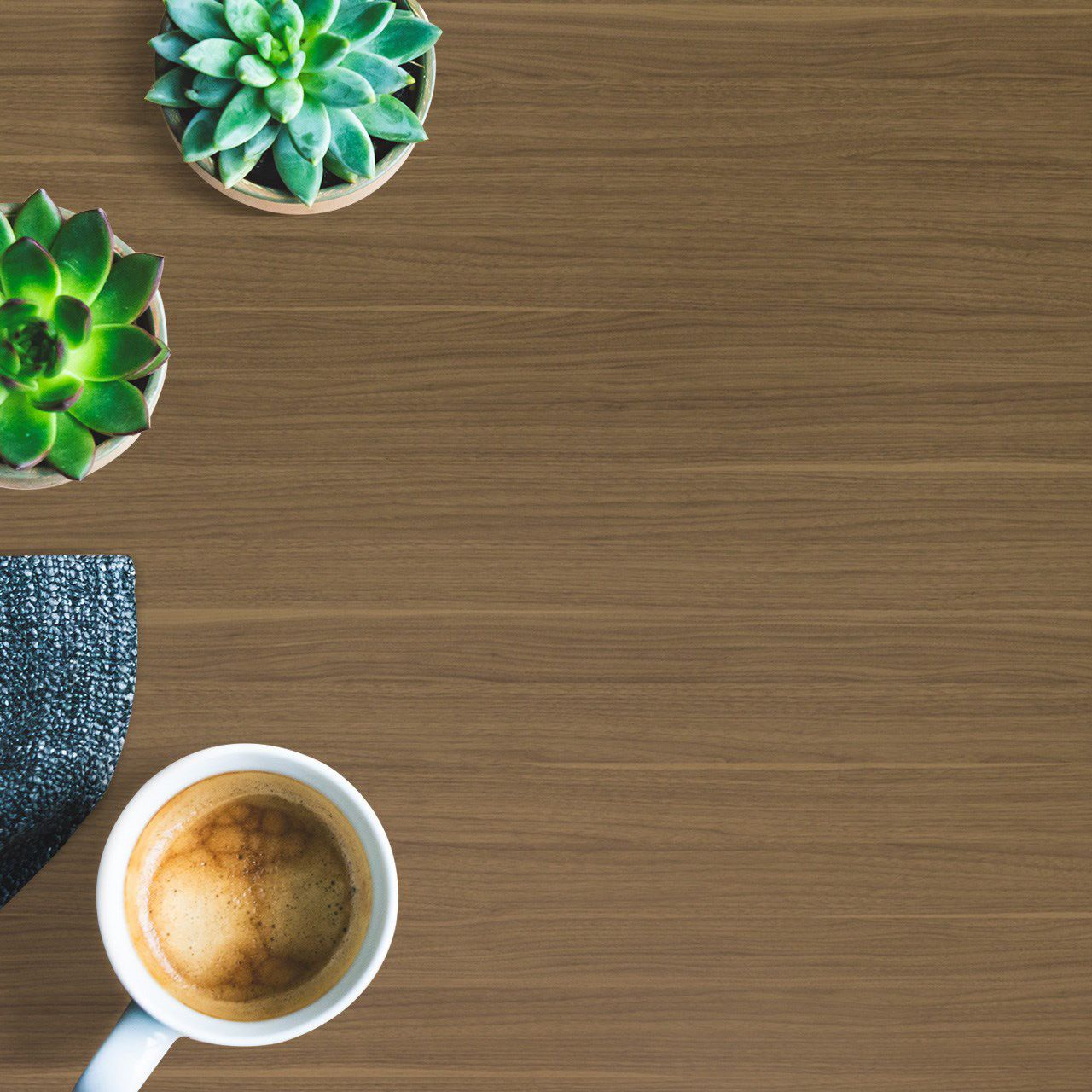 3292 Walnut Warmth (SUD) Laminates in India