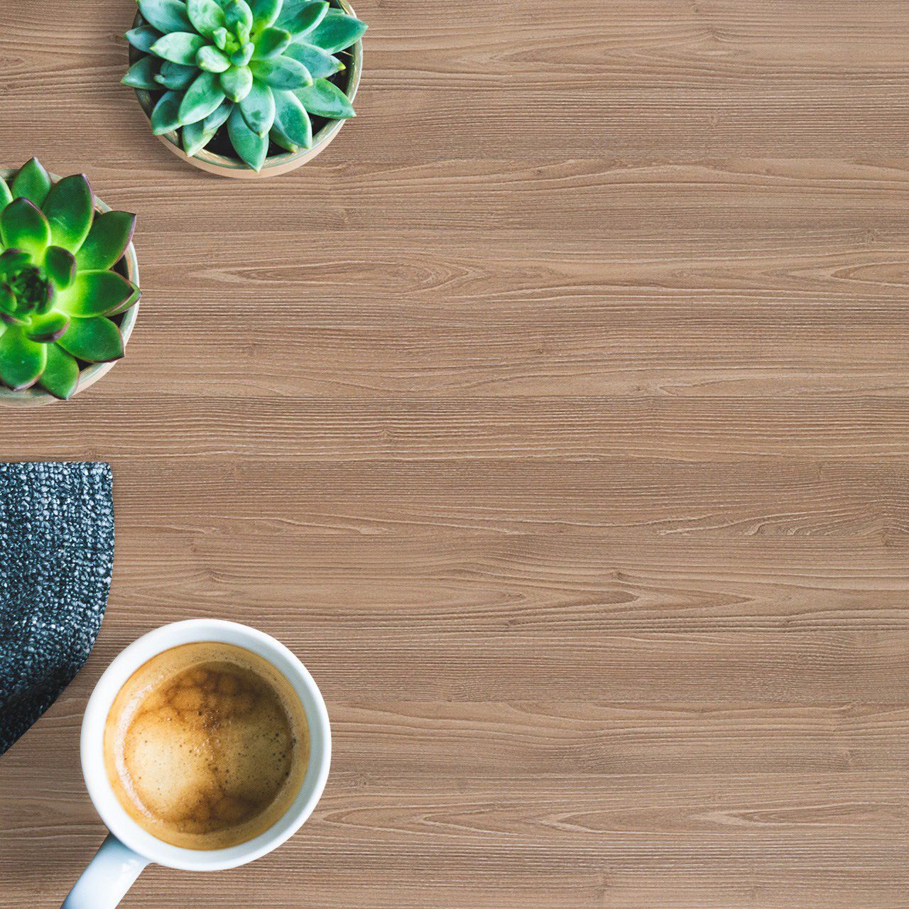 3309 Ceruse Wood (SUD) Laminates in India