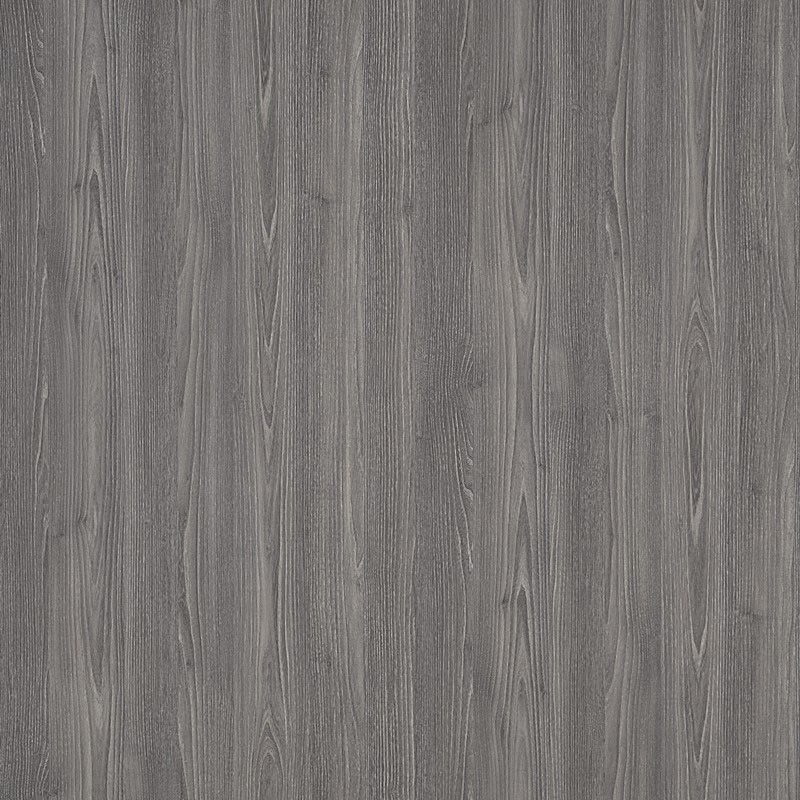  Mikasa Image