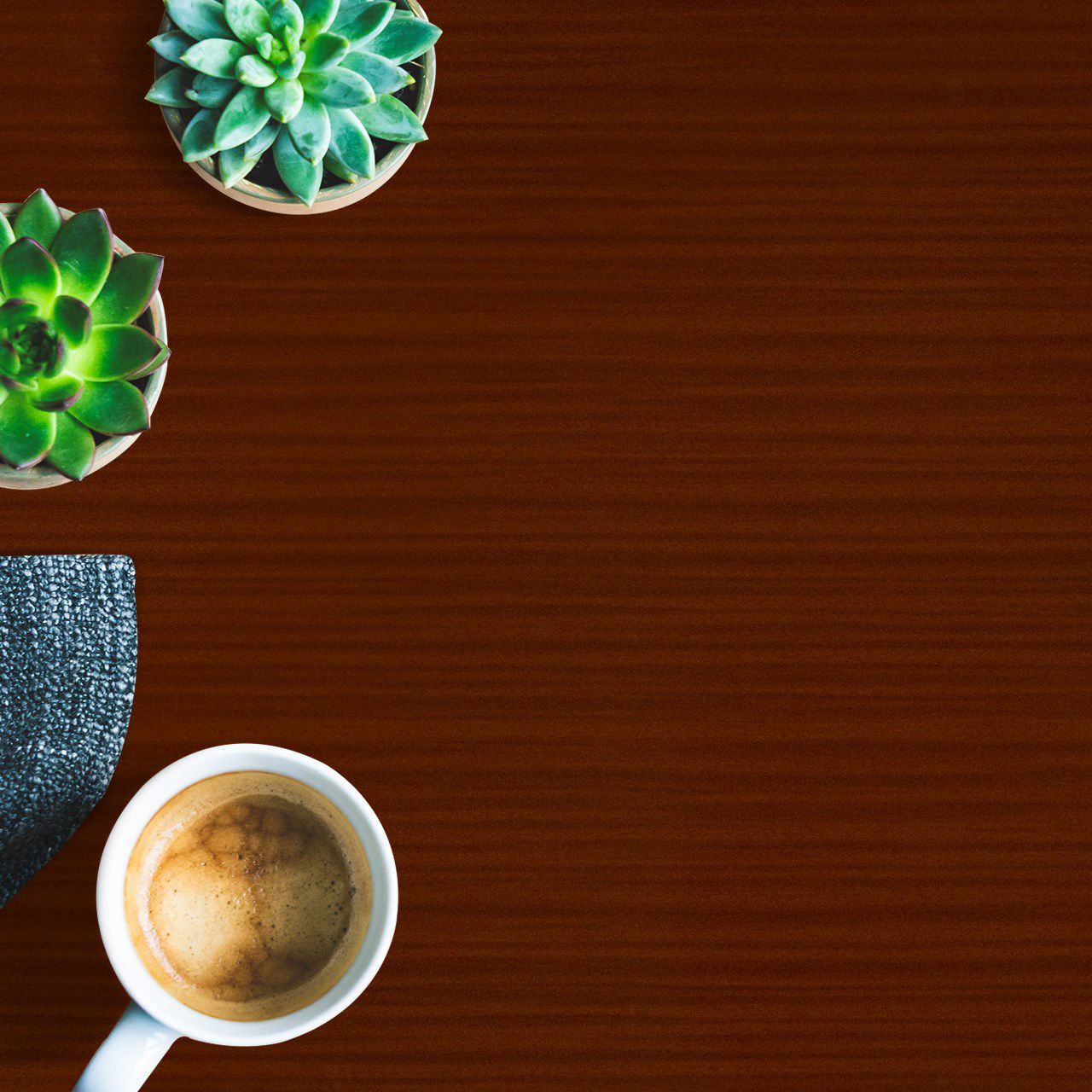 3355 Sapele Exotic (NGL) Laminates in India