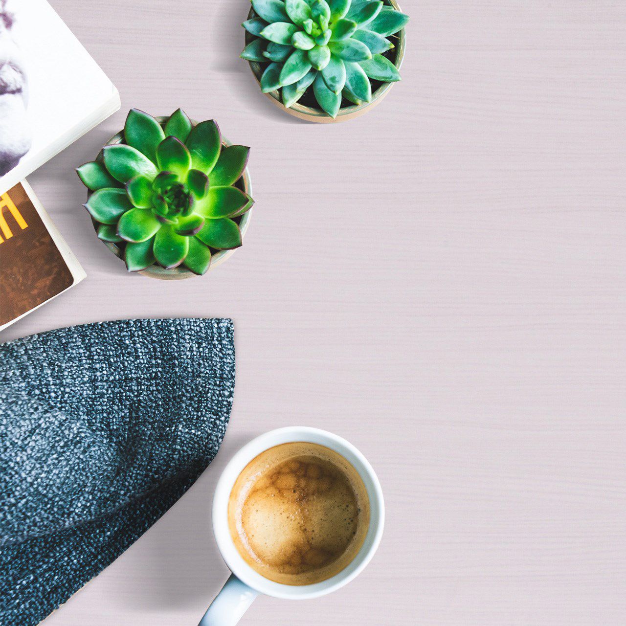 3366 Dainty Elm (CFD) Laminates in India