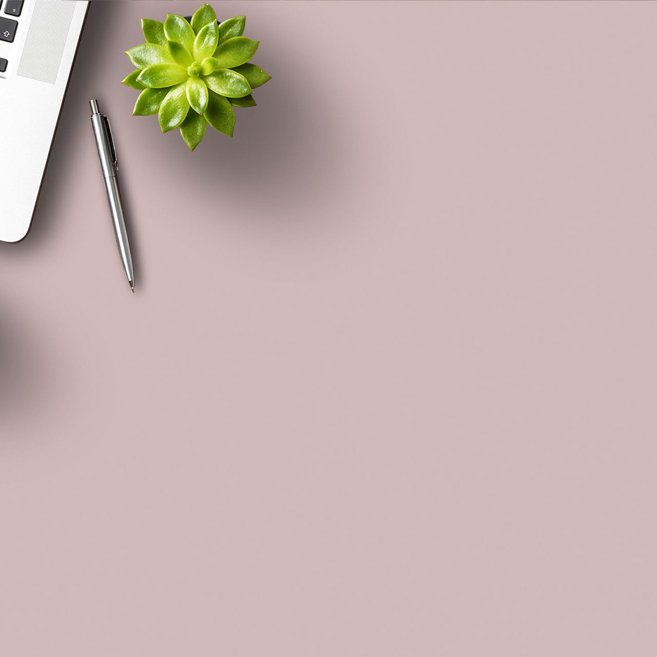 3541 Flamingo (SUD) Laminates in India