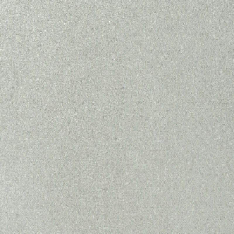  Mikasa Image