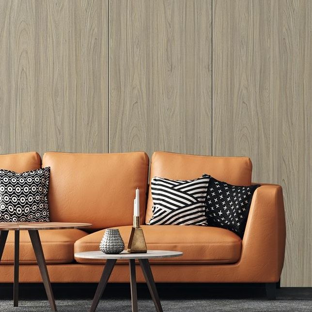 3331 Virgin Elm (CHW) decorative Laminate sheets in India