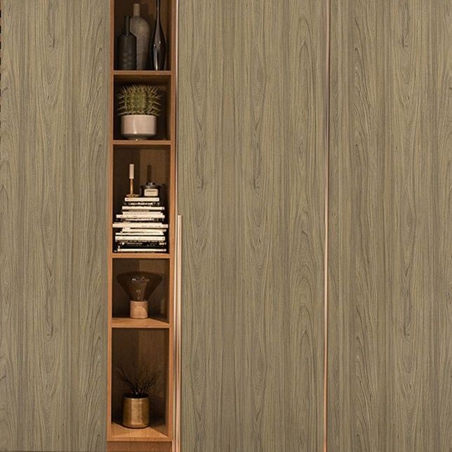 3332 Swiss Elm (CHW) decorative Laminates in India