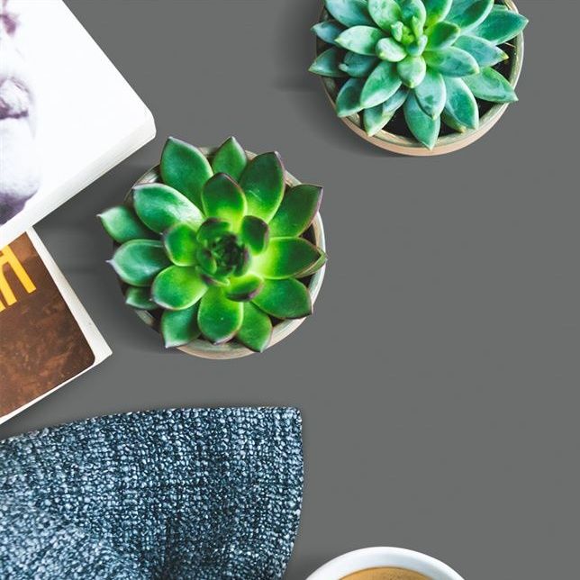 3553 Nickel Grey (RSO) Laminates in India