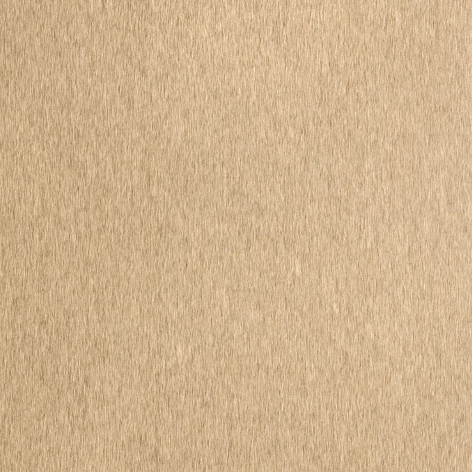  Mikasa Image